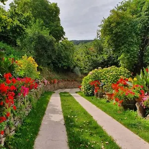 Agrifoglio Con Giardino Aritzo