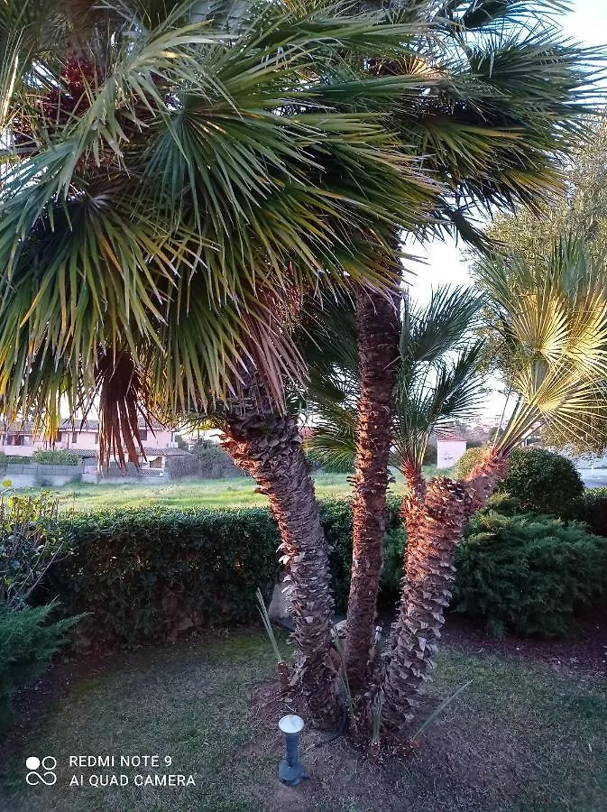 La Forma Dell'Acqua Bed & Breakfast Su Forti